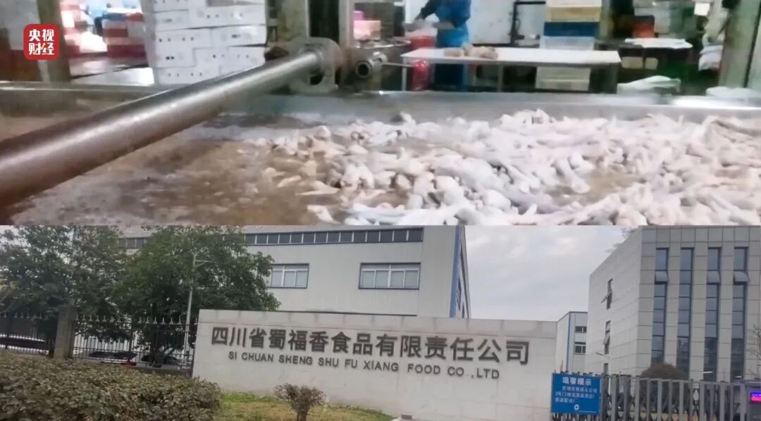 图片[4]-3·15晚会丨网红鸡爪，竟是“漂白”的！生产车间令人作呕！有毒的双氧水随便用！-八博网