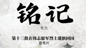 第十三批在韩志愿军烈士遗骸回国宣传片-八博网