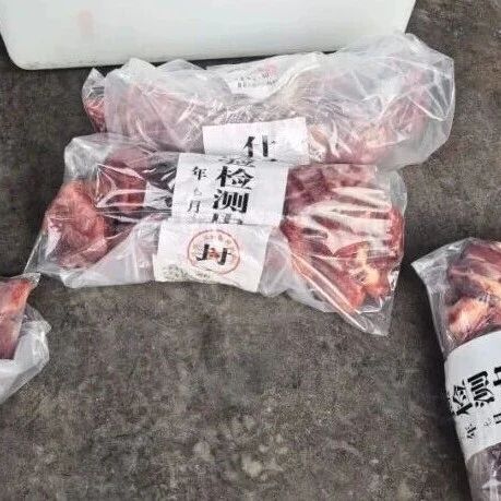 警方突袭一牛肉制假窝点，现场多人正往猪肉上涂抹牛油、牛血冒充牛肉……-八博网