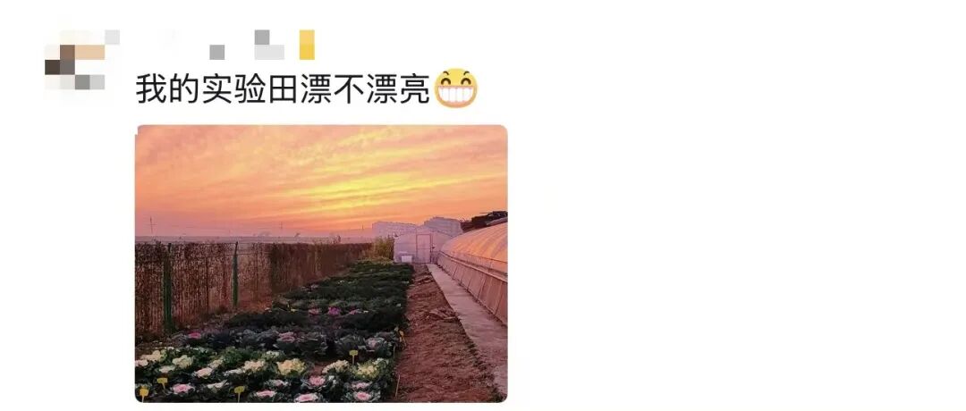 图片[22]-“我就知道你超厉害的！！嗯，我在说我自己”-八博网