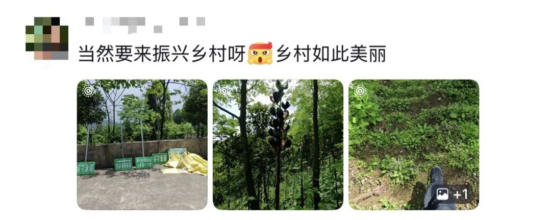 图片[18]-“我就知道你超厉害的！！嗯，我在说我自己”-八博网