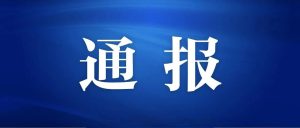 中央纪委国家监委通报-八博网