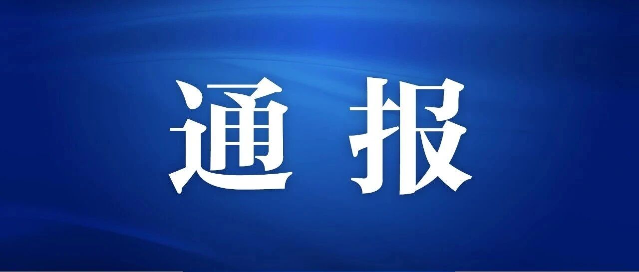 中央纪委国家监委通报-八博网