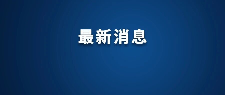 白菜装车前蘸甲醛?当地通报来了!-八博网