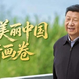领航 | 共绘美丽中国新画卷-八博网