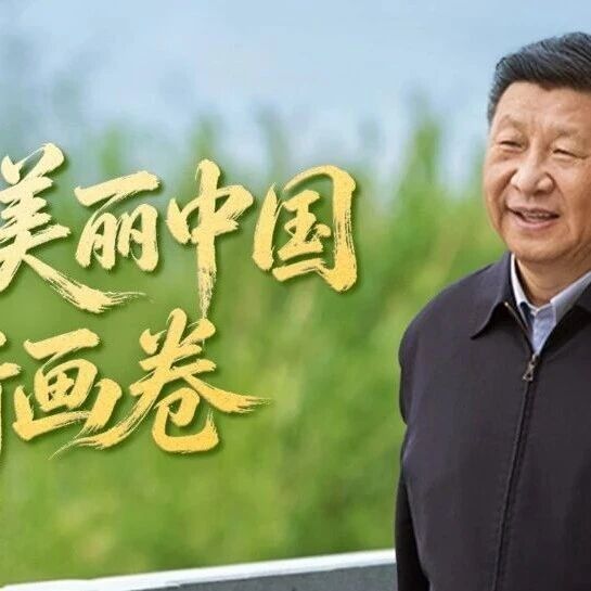 领航 | 共绘美丽中国新画卷-八博网