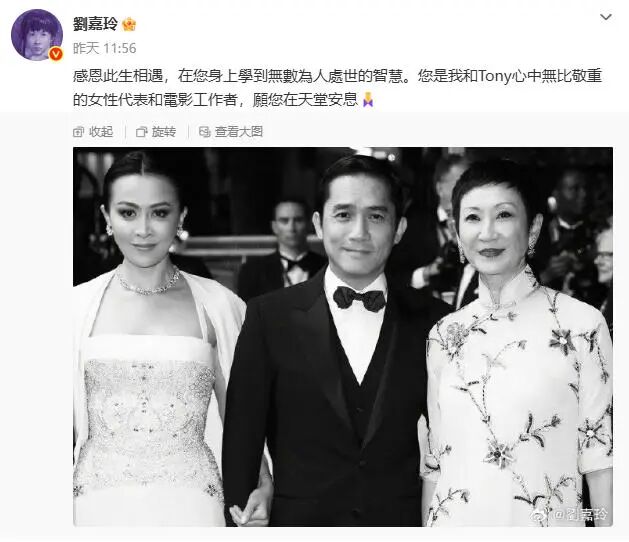 图片[7]-徐克、霍启刚、林青霞、张艾嘉、周润发、蔡康永、梁朝伟、刘嘉玲、李冰冰等，送别施南生-八博网