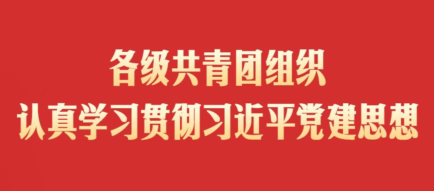 图片[1]-各级共青团组织认真学习贯彻习近平党建思想-八博网