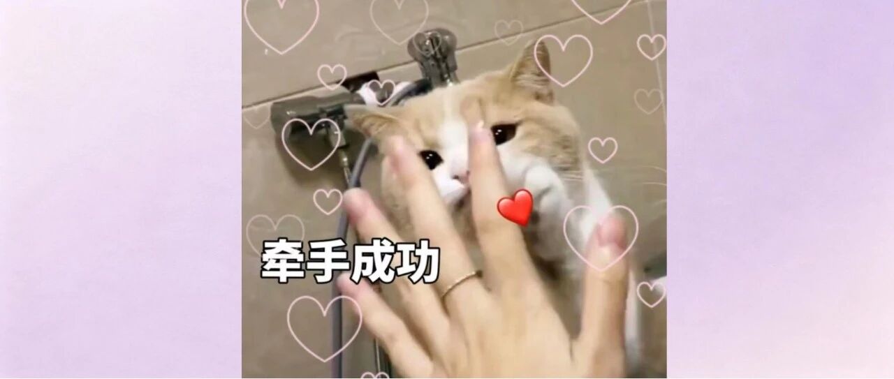 “这是大事儿！人生大事儿！”-八博网