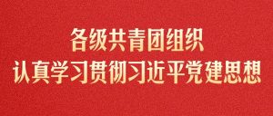 各级共青团组织认真学习贯彻习近平党建思想-八博网