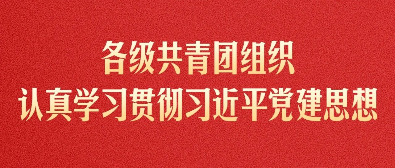 各级共青团组织认真学习贯彻习近平党建思想-八博网