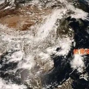 特大暴雨持续！台风“白海豚”到哪了？-八博网