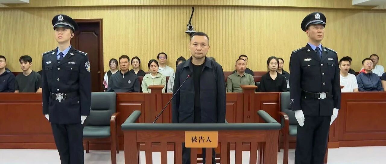 北大原副校长任羽中，有期徒刑八年！-八博网
