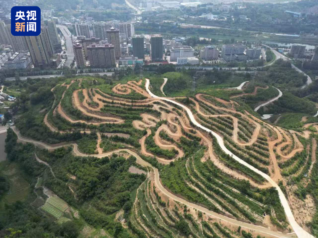 图片[7]-“孩子们，明天早上6点准时开跑！”-八博网