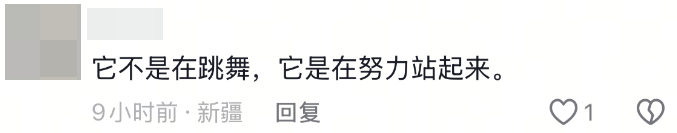 图片[4]-中国机器人能飞！机器人：别管怎么跑的，你就说赢没赢！-八博网