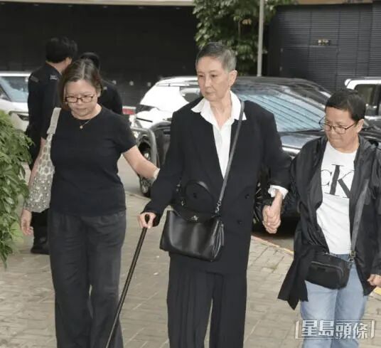 图片[6]-徐克、霍启刚、林青霞、张艾嘉、周润发、蔡康永、梁朝伟、刘嘉玲、李冰冰等，送别施南生-八博网