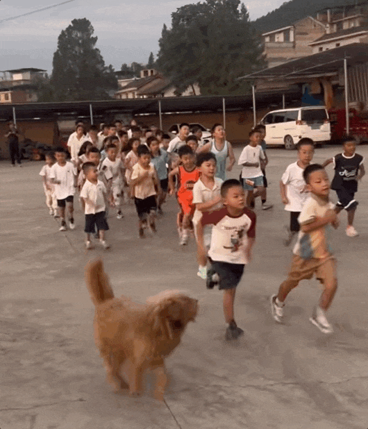 “孩子们，明天早上6点准时开跑！”-八博网