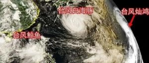 三台风“共舞”！“白海豚”逼近，华东将有特大暴雨-八博网