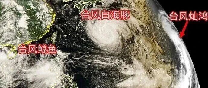 三台风“共舞”!“白海豚”逼近,华东将有特大暴雨-八博网