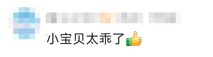图片[8]-2岁“特种兵”训练日常……网友：你是说穿尿不湿练吗？-八博网