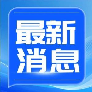 涉王星案，跨境人口贩卖集团17人被提起公诉-八博网